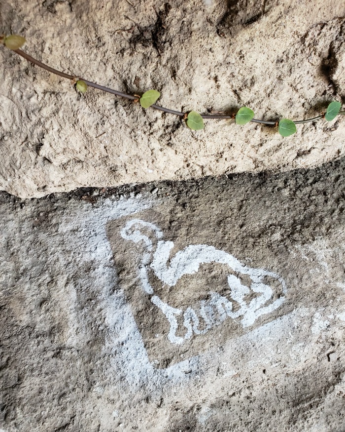 Dino Graffiti at the San Antonio Zoo | SensiblySara.com