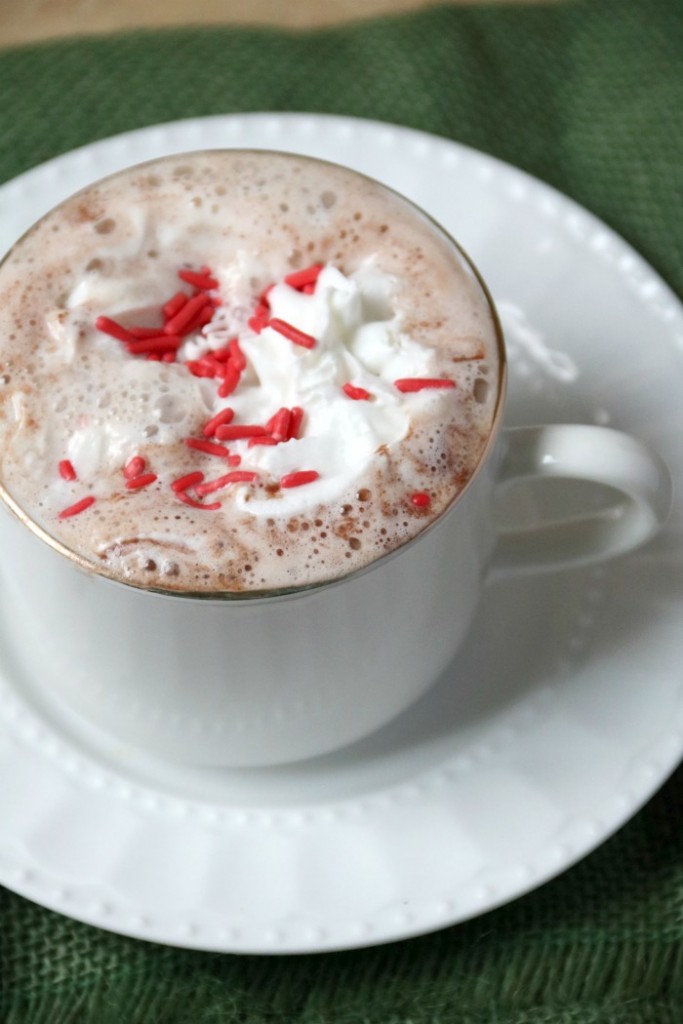 Nutella Hot Chocolate | SensiblySara.com