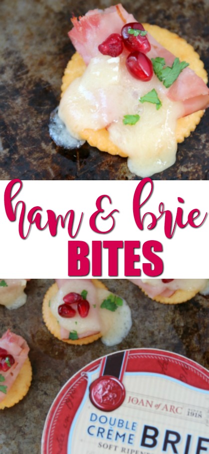 Ham and Brie Bites | SensiblySara.com