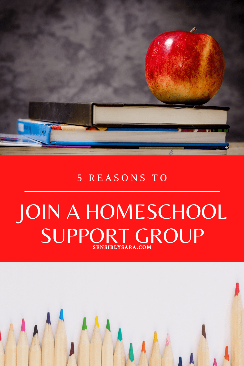 The Importance of Joining a Homeschool Support Group