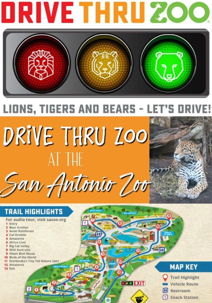 San Antonio Drive Thru Zoo