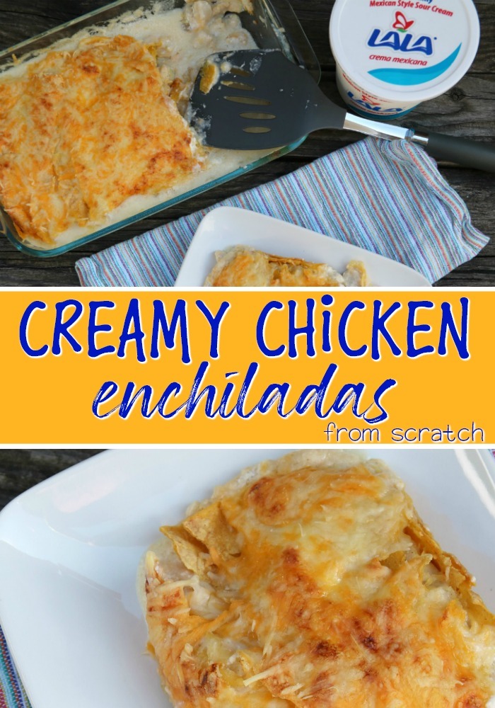 Creamy Chicken Enchiladas Recipe from Scratch